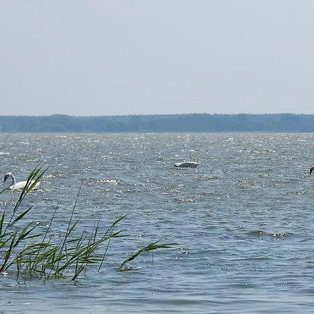 Haus Schilfkante - 1 Апартаменты Вик