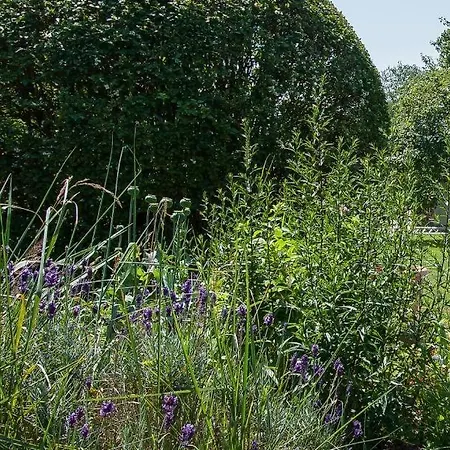 Haus Schilfkante - 1 Апартаменты Вик