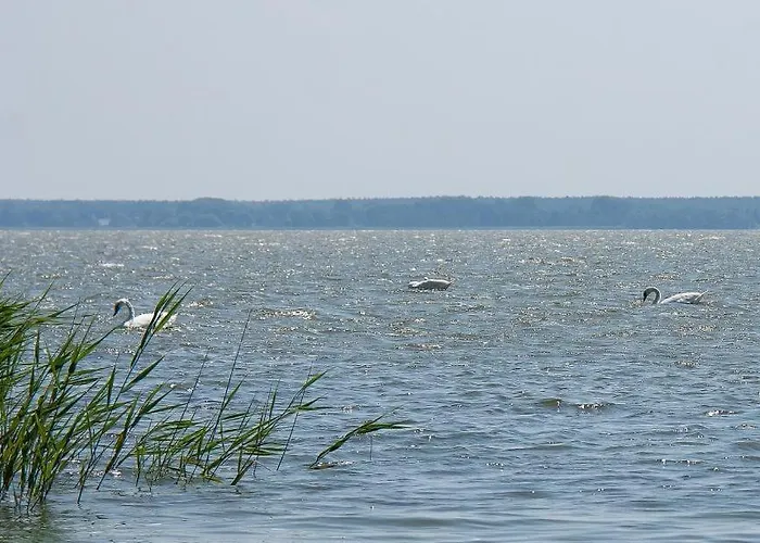 Haus Schilfkante - 1 Apartamento Wieck