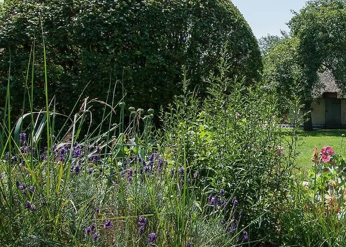 Haus Schilfkante - 1 Apartamento Wieck