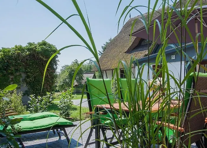 Haus Schilfkante - 1 Apartamento